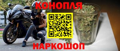 прущие крисы Шелехов