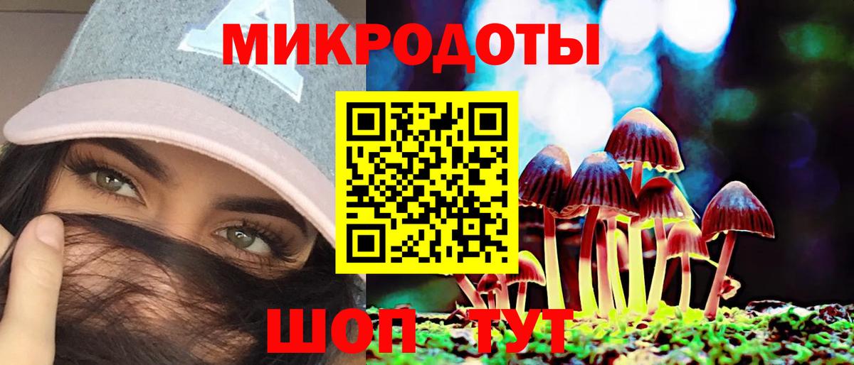 Галлюциногенные грибы Psilocybe Якутск